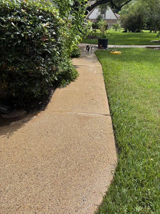 Side walkway after cleaning