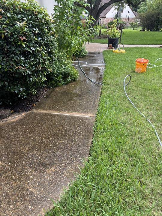 Side walkway before cleaning