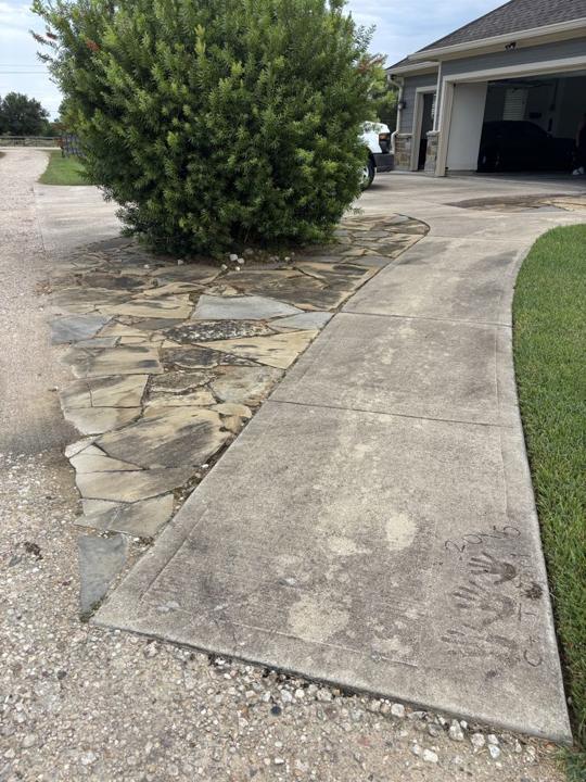 Flagstone and concrete walkway before cleaning
