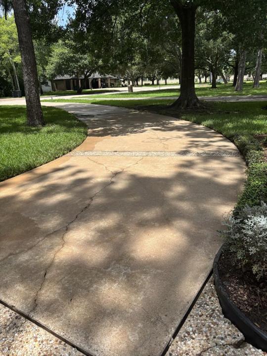 Curved driveway after cleaning