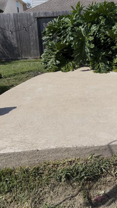 Backyard concrete walkway after cleaning