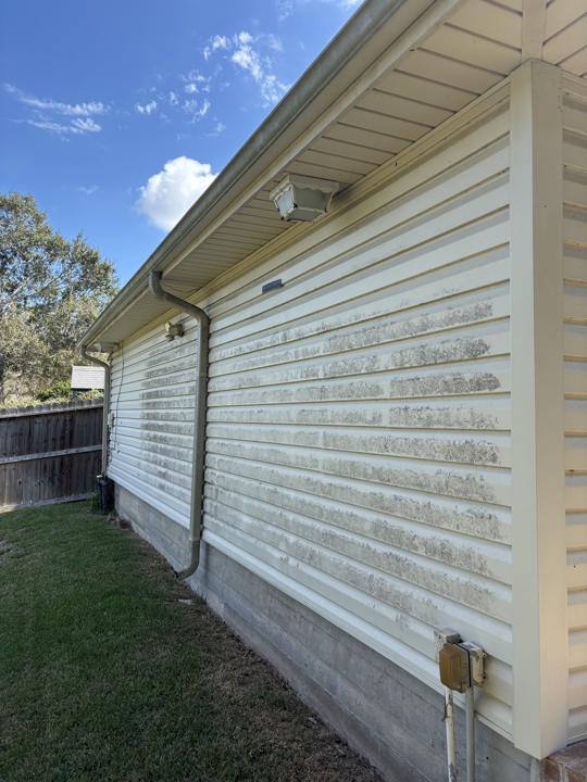 Vinyl siding side wall before cleaning