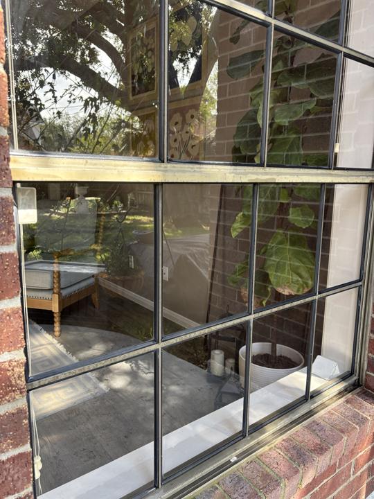 Large divided window with plant inside after cleaning